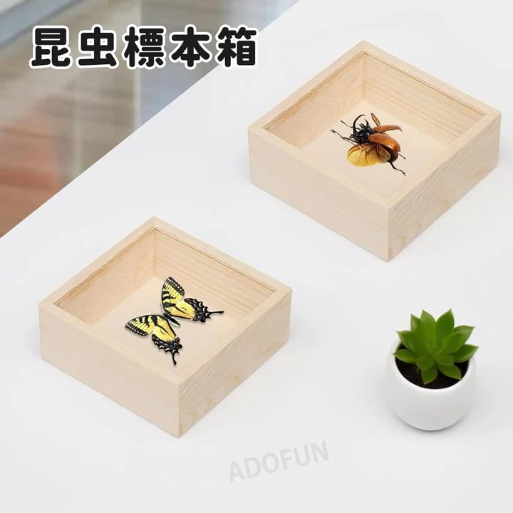 Amazon.co.jp: ADOFUN 標本箱 透明昆虫蝶標本箱 昆虫標本展示ボックス Amazon.co.jp: ADOFUN 標本箱 透明昆虫蝶標本箱 昆虫標本展示ボックス